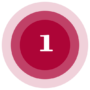 01-ikonica