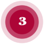 03-ikonica
