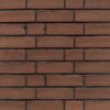 Fasadna opeka L WS03 Naturrot