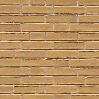 Fasadna opeka L WS06OX Hellbraun Bunt Oxidiert