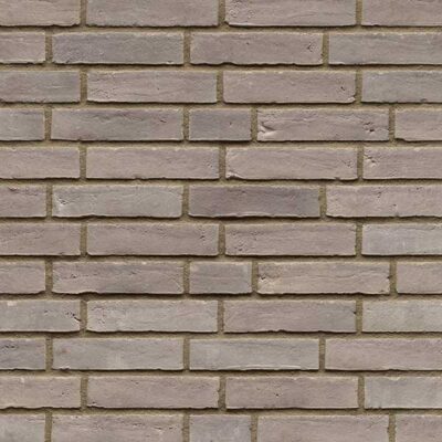 Fasadna opeka L WS36EGGED Silbergrau Nuanciert Edelglanz Gedämpft