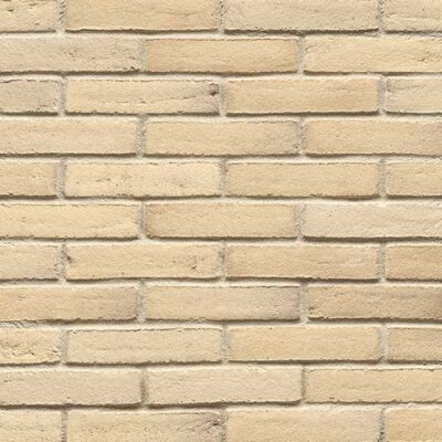 Fasadna opeka L WS41 Elfenbeingrau Geflammt