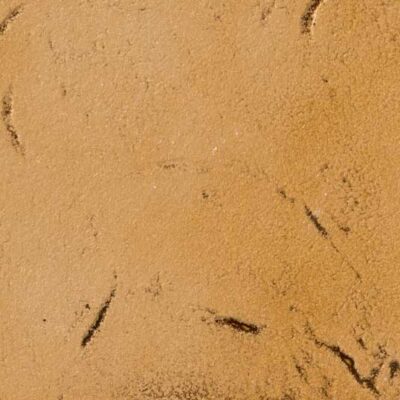 Podna opeka Antik Sandstone